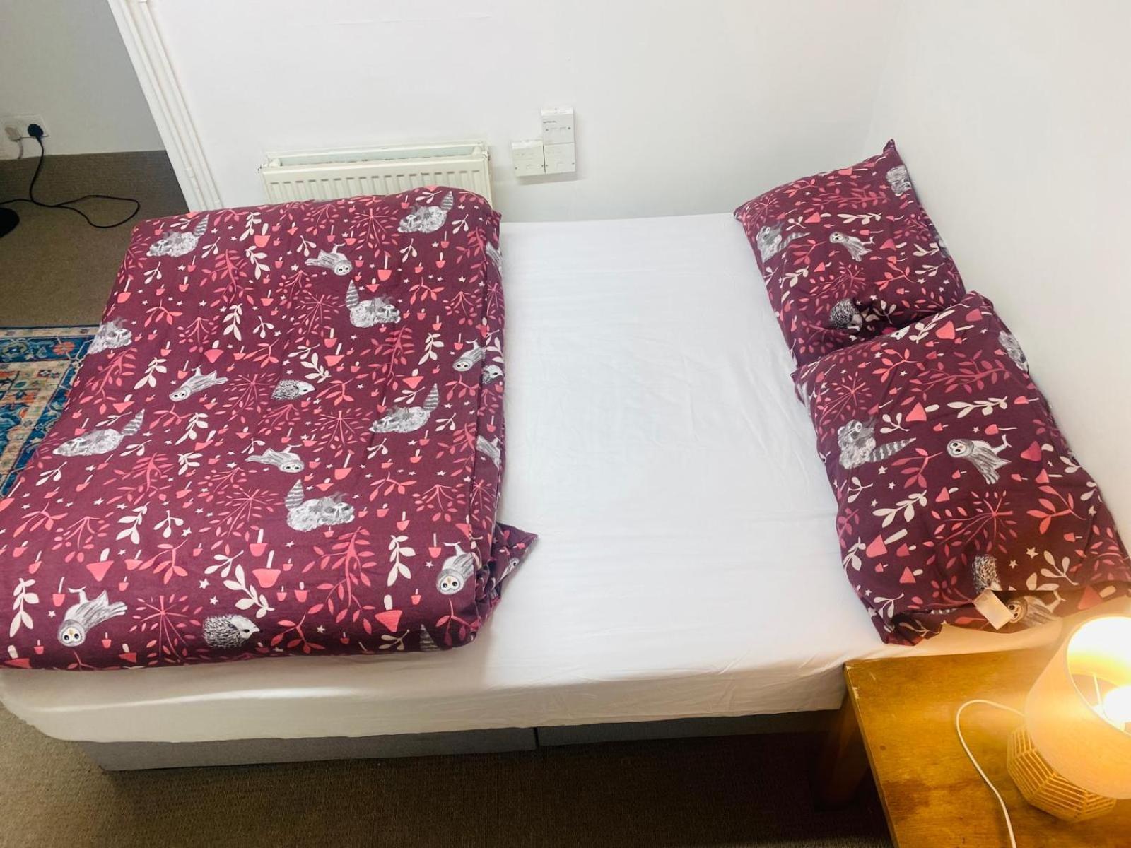 Cozy Studio Opposite Chelsea Stadium Лондон Екстериор снимка